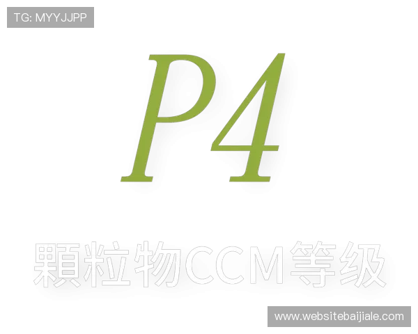 多平台支持的ag网站入口，随时随地畅享精彩游戏体验