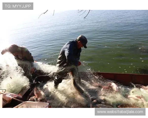 在AG打鱼官网娱乐平台注册登录，开启属于你的精彩捕鱼之旅