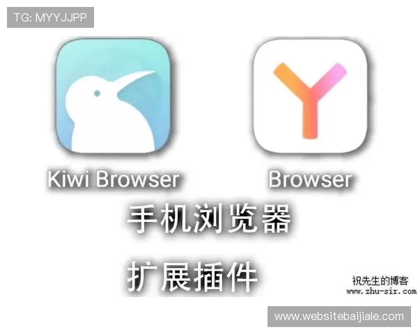 4008云顶浏览器的特色插件推荐，丰富你的浏览体验与功能扩展