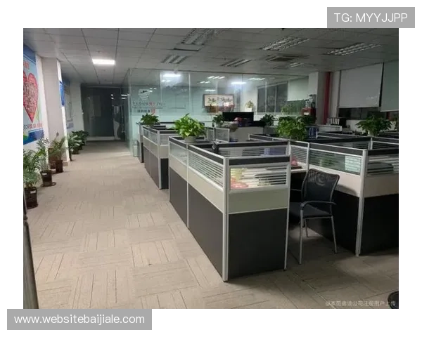 龙视讯电脑版下载最新官方渠道，安全稳定支持多平台使用体验提升