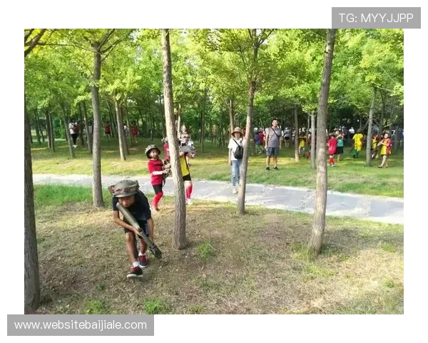 od真人体育官网全面解析游戏规则与技巧,帮助新手快速上手实现游戏胜利梦想 od真人体育官网全面解析游戏规则与技巧,帮助新手快速上手实现游戏胜利梦想